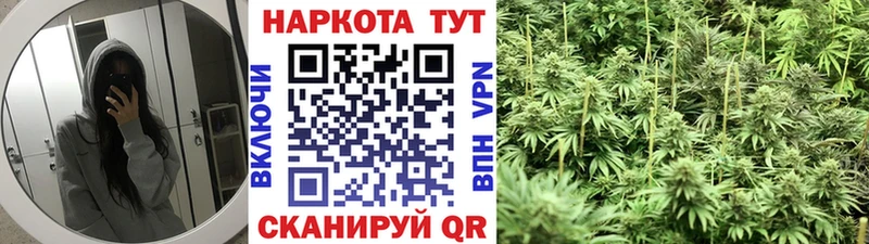 Где купить наркоту Сосновка БУТИРАТ  Галлюциногенные грибы  гидра ссылки  A-PVP  ГАШ  Меф 