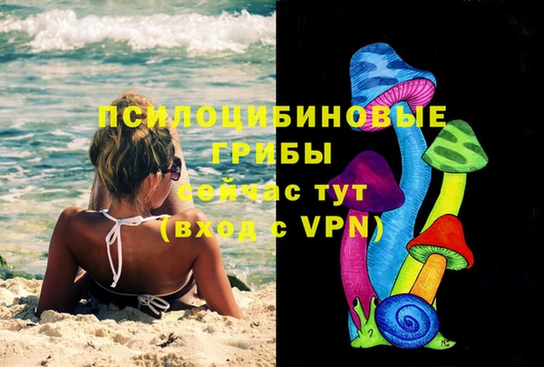 ПСИЛОЦИБИНОВЫЕ ГРИБЫ Алзамай
