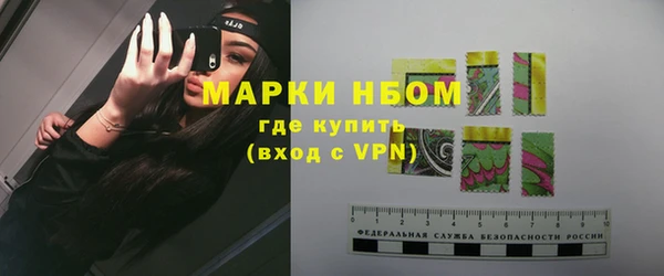 хмурый Новозыбков
