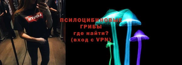ПСИЛОЦИБИНОВЫЕ ГРИБЫ Алзамай