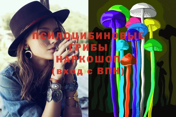 ПСИЛОЦИБИНОВЫЕ ГРИБЫ Алзамай