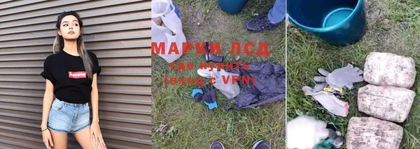 ПСИЛОЦИБИНОВЫЕ ГРИБЫ Алзамай