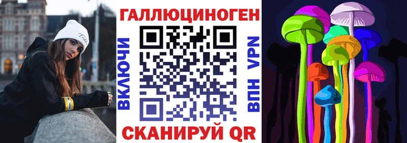 Галлюциногенные грибы Psilocybe  Сосновка 